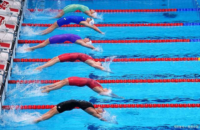 游泳比賽中選手創下新紀錄，稱霸賽場